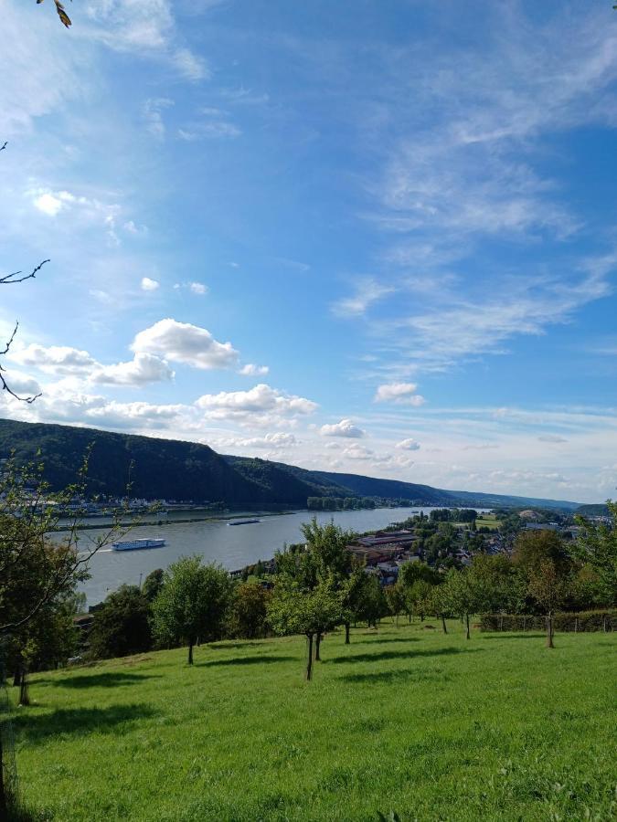 Ferienwohnung Neli Am Rhein Rheinbrohl Exterior foto